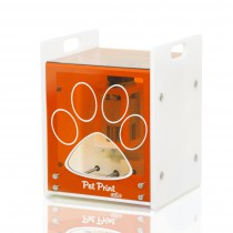 MÁQUINA PET PRINT CUBE - LARANJA